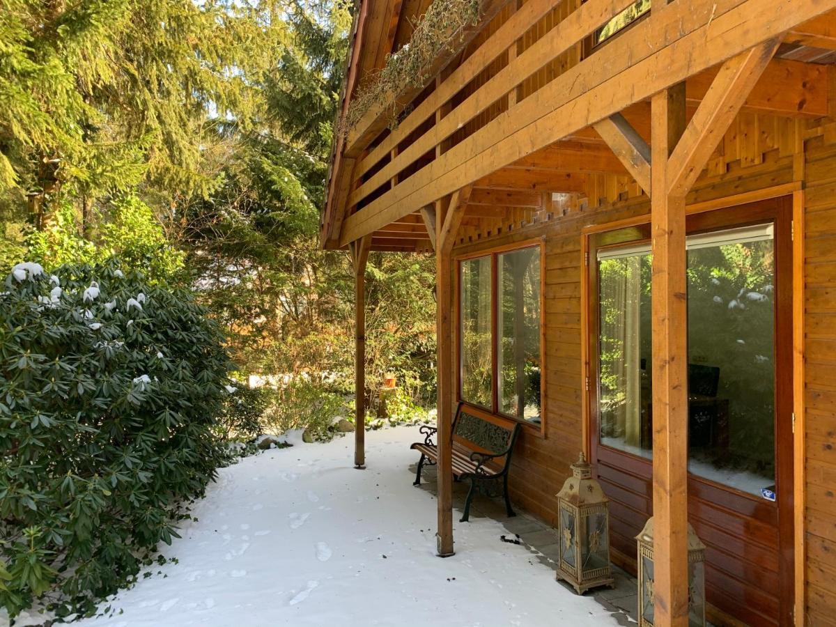 'T Holten Huus - Puur Genieten In Het Bos. Norg Extérieur photo