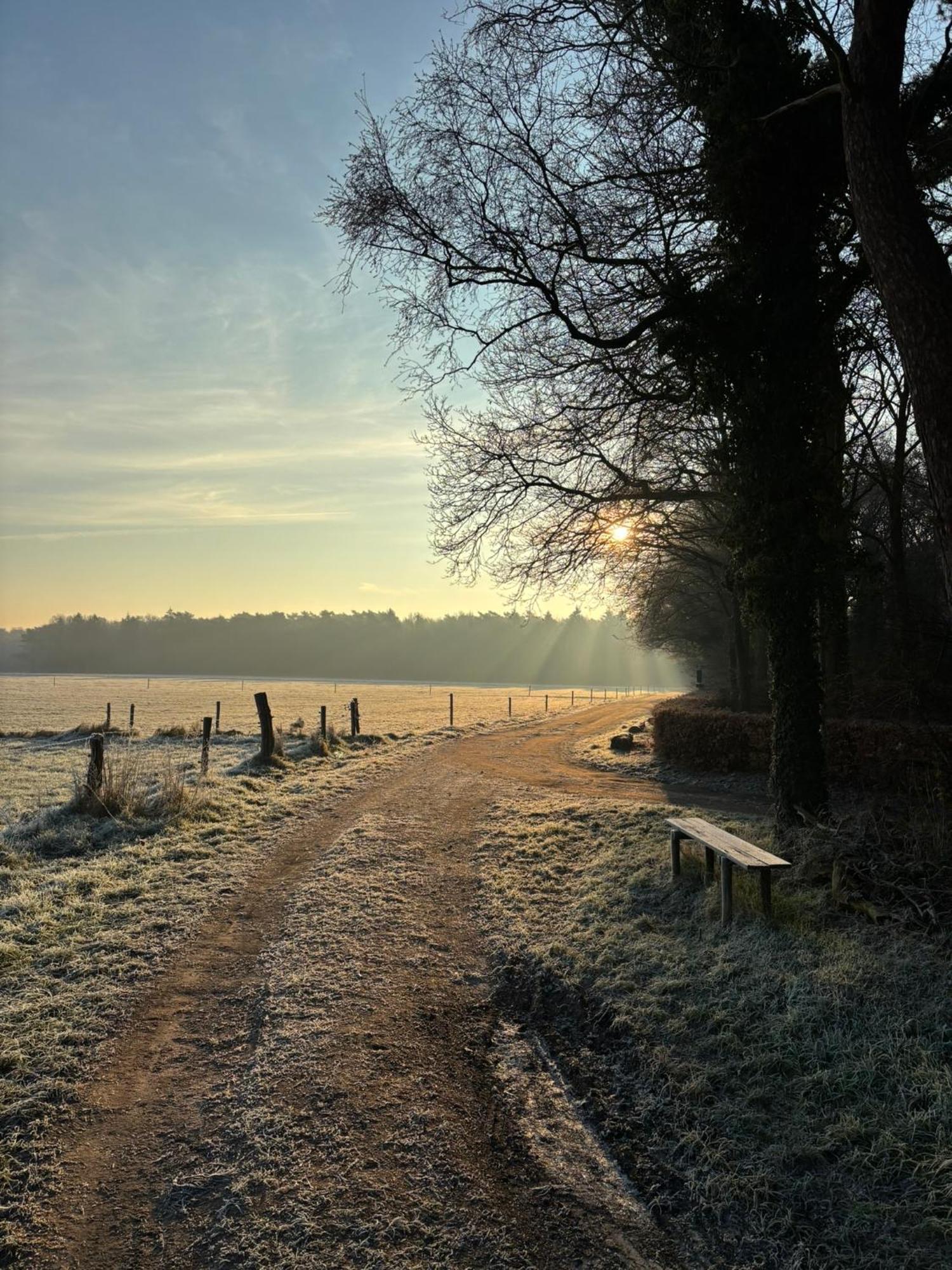 'T Holten Huus - Puur Genieten In Het Bos. Norg Extérieur photo