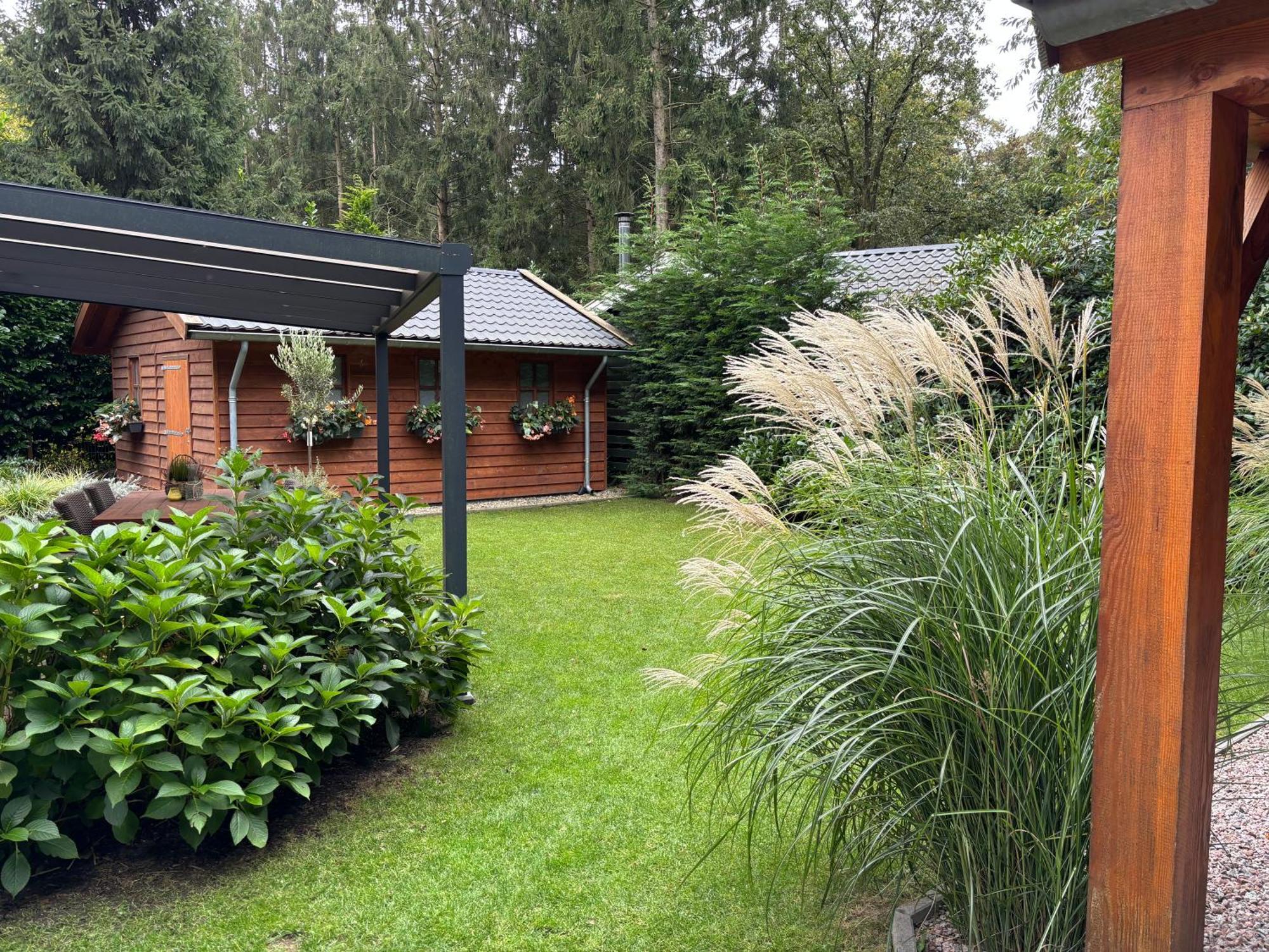 'T Holten Huus - Puur Genieten In Het Bos. Norg Extérieur photo